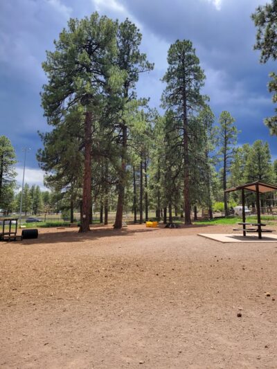 Thorpe Bark Park - Flagstaff, AZ