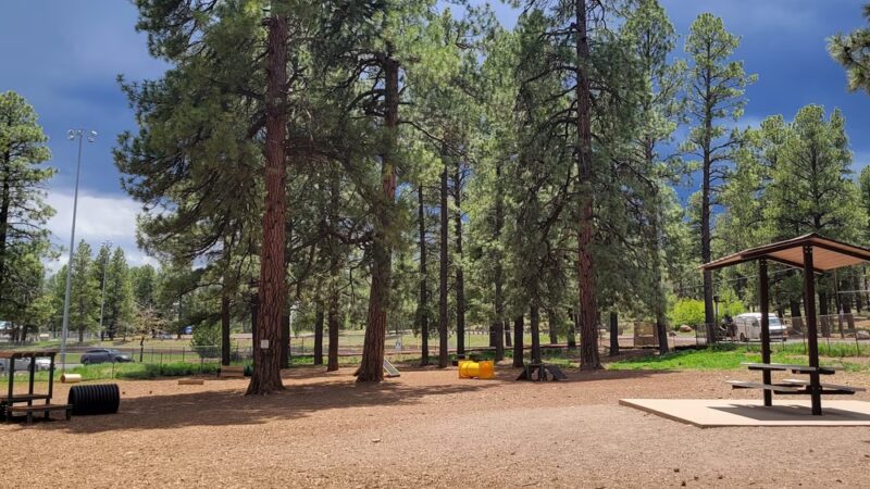 Thorpe Bark Park - Flagstaff, AZ