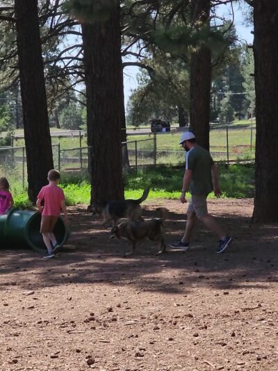 Thorpe Bark Park - Flagstaff, AZ