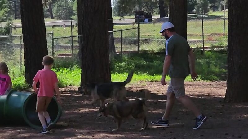 Thorpe Bark Park - Flagstaff, AZ