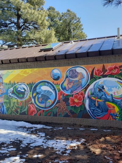 Thorpe Bark Park - Flagstaff, AZ