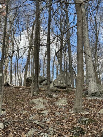 Veterans Park - Flanders, NJ