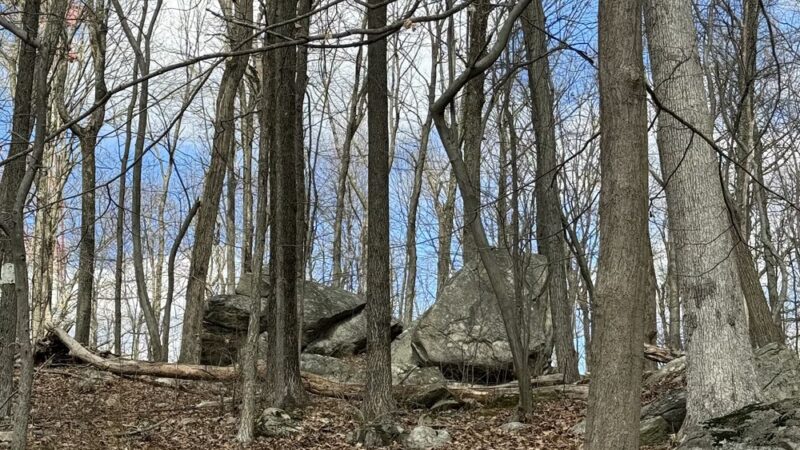 Veterans Park - Flanders, NJ