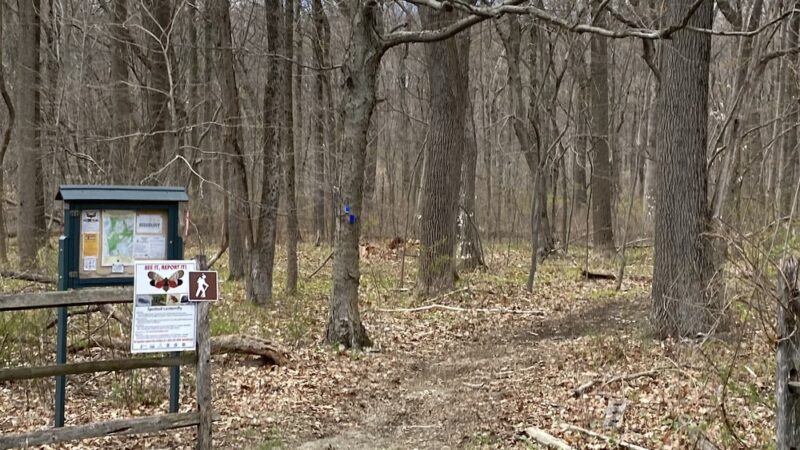 Veterans Park - Flanders, NJ