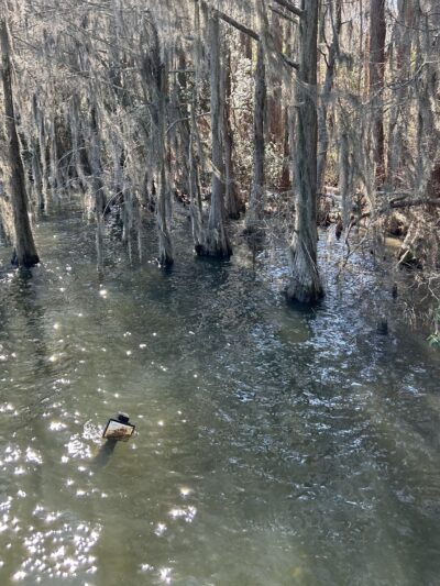 Florala City park - Florala, AL