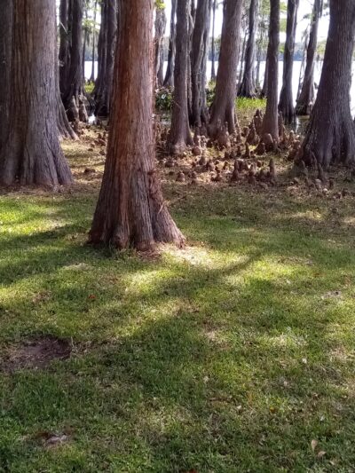 Florala City Park - Florala, AL