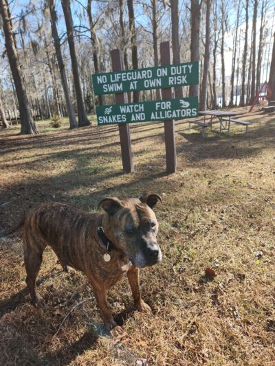 Florala City Park - Florala, AL