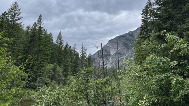 Bass Creek Trailhead - Florence, MT