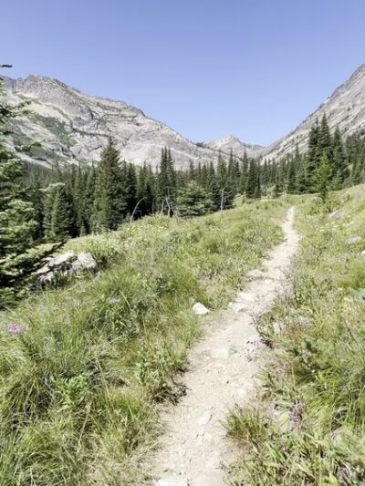 Bass Creek Trailhead - Florence, MT