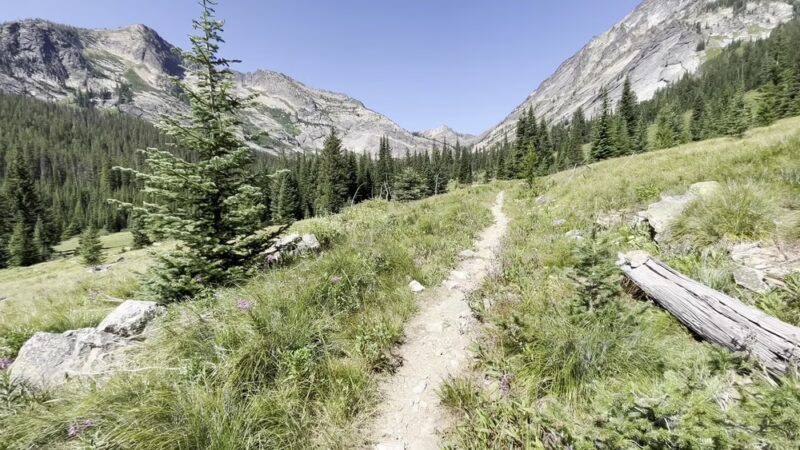 Bass Creek Trailhead - Florence, MT