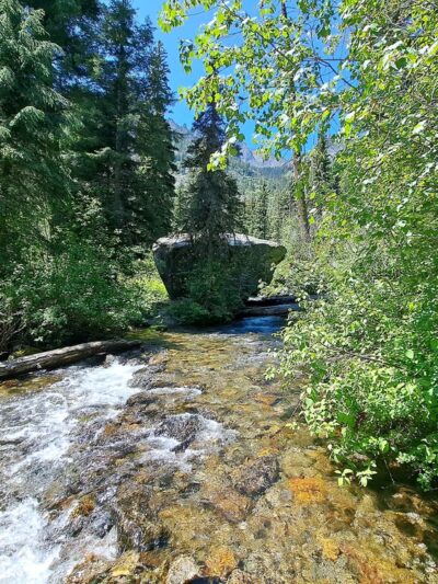 Bass Creek Trailhead - Florence, MT