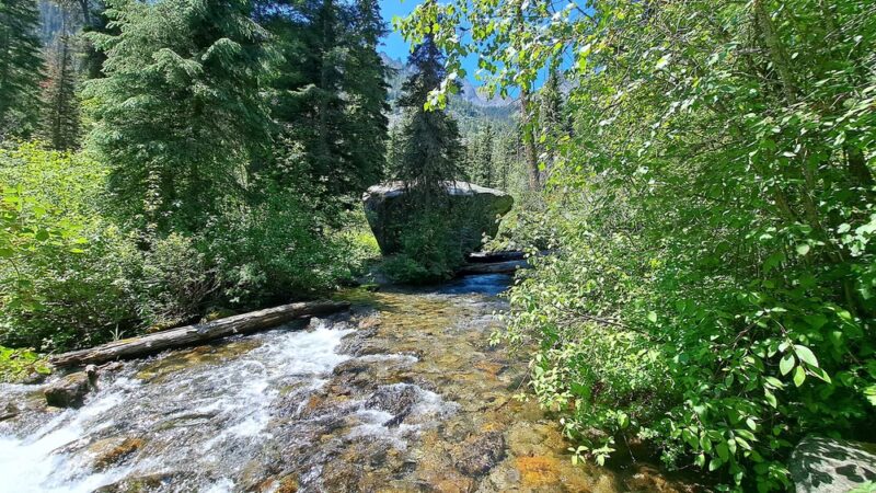Bass Creek Trailhead - Florence, MT