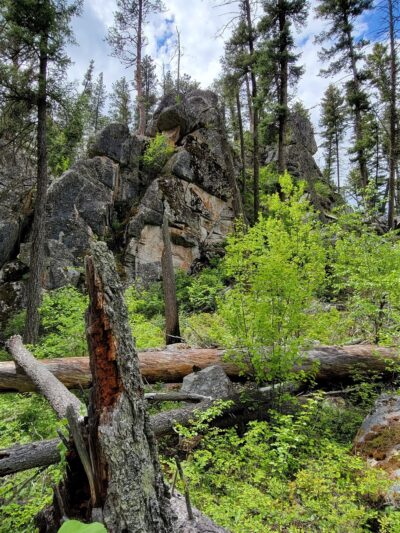 Welcome Creek Trailhead - Florence, MT