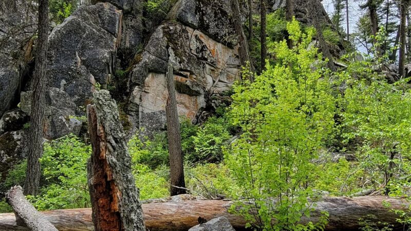 Welcome Creek Trailhead - Florence, MT