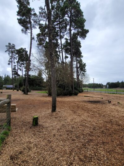 Dog park and parking - Florence, OR