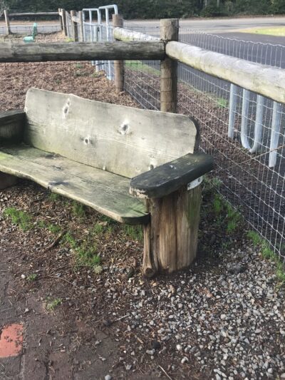 Dog park and parking - Florence, OR