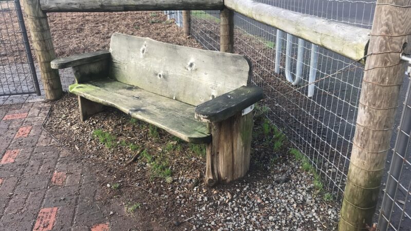 Dog park and parking - Florence, OR