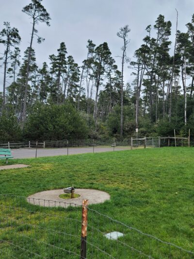 Dog park and parking - Florence, OR