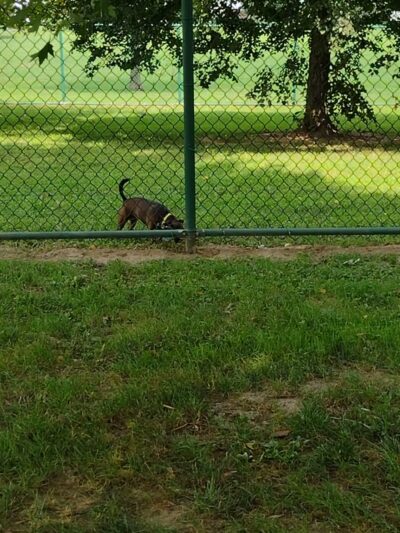 Duchesne Park - Florissant, MO