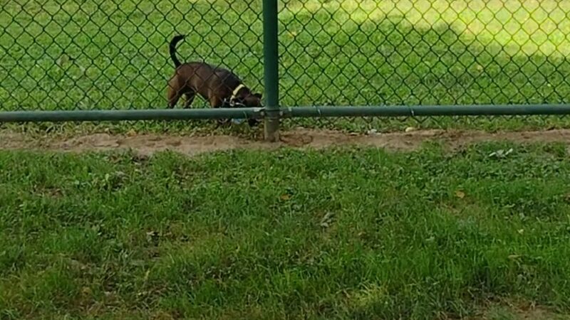 Duchesne Park - Florissant, MO