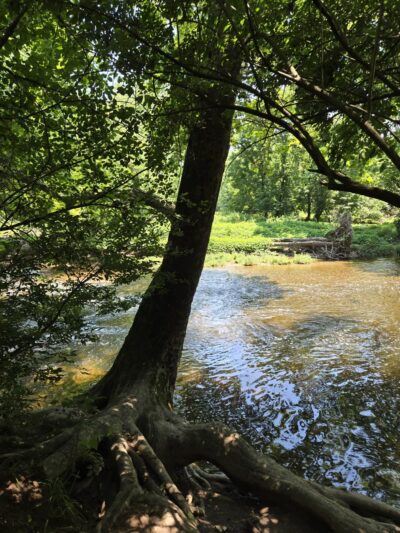 Fort Washington State Park trailhead - Flourtown, PA