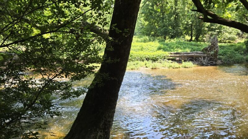 Fort Washington State Park trailhead - Flourtown, PA