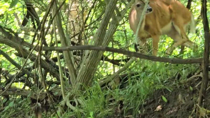 Fort Washington State Park trailhead - Flourtown, PA