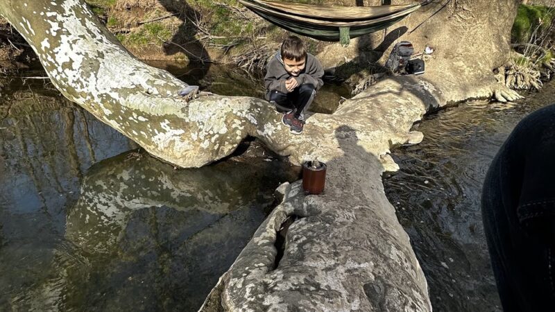 Fort Washington State Park trailhead - Flourtown, PA