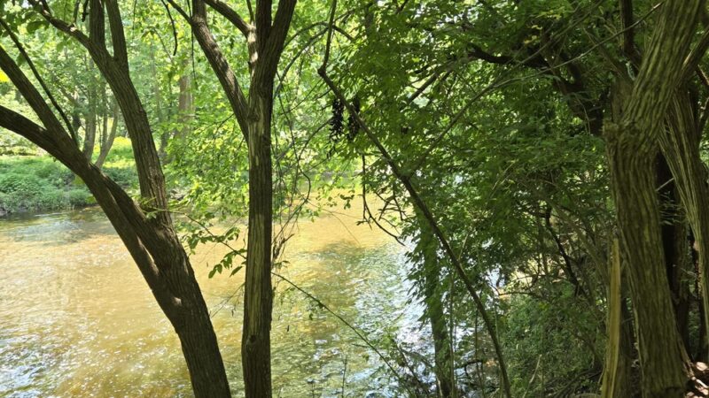 Fort Washington State Park trailhead - Flourtown, PA