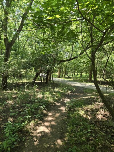 Fort Washington State Park trailhead - Flourtown, PA