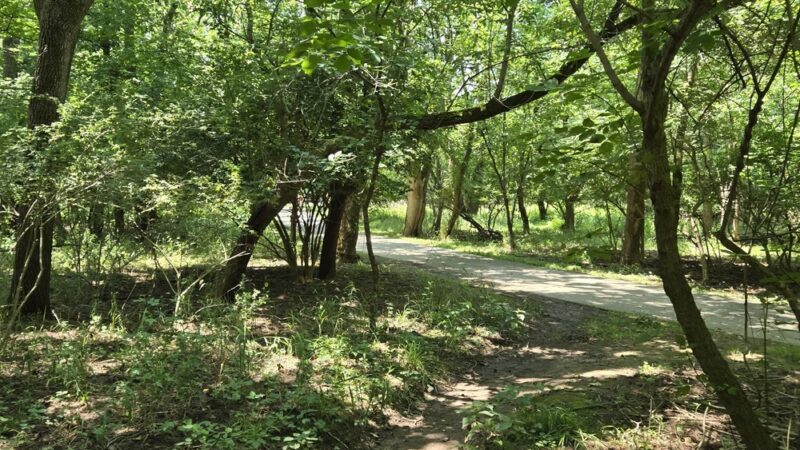 Fort Washington State Park trailhead - Flourtown, PA