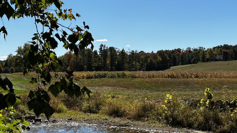 Letty Walter Park - Floyds Knobs, IN