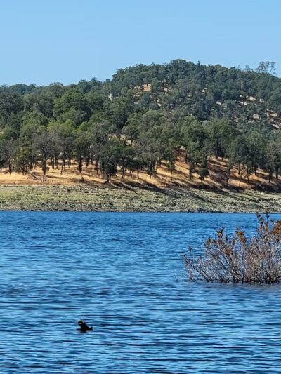 Folsom Lake State Recreation Area - Folsom, CA