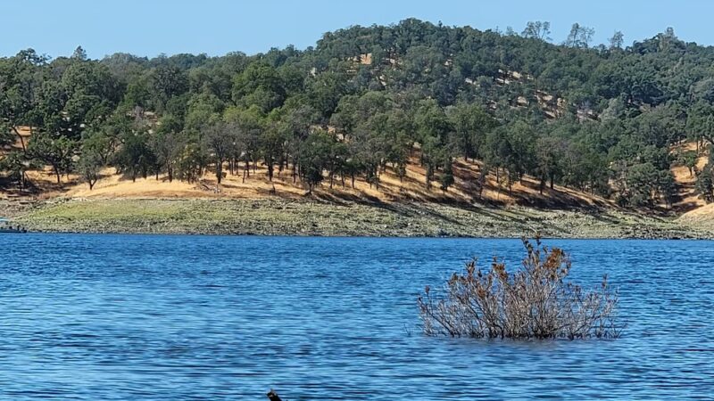 Folsom Lake State Recreation Area - Folsom, CA