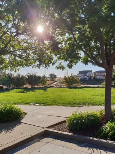 Rivage Park - Folsom, CA