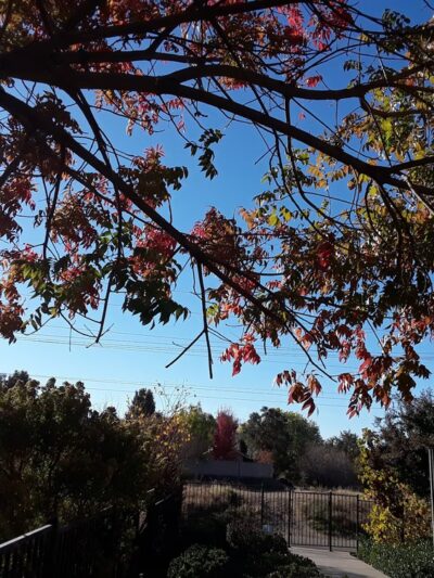 Rivage Park - Folsom, CA