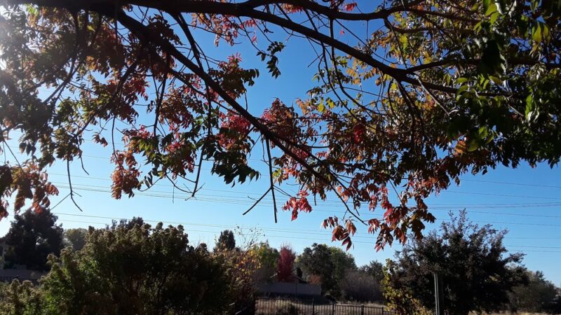 Rivage Park - Folsom, CA