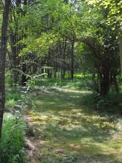 Songbird Trail - Ford City, PA