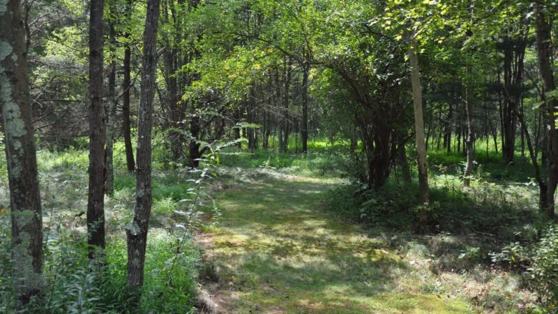 Songbird Trail - Ford City, PA