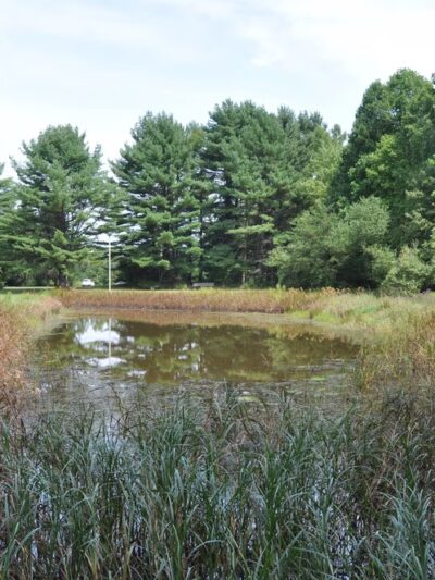Songbird Trail - Ford City, PA