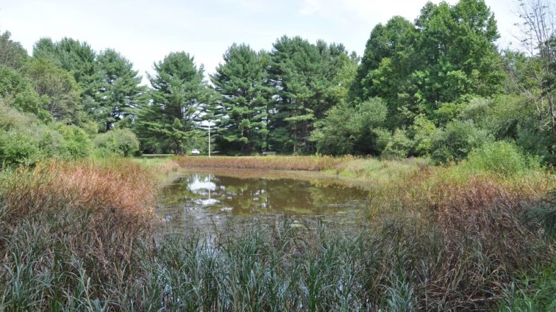 Songbird Trail - Ford City, PA
