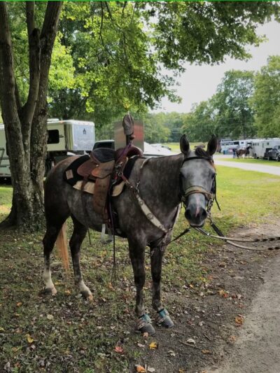 U.s. Army Corps Of Engineers Crooked Creek Lake - Ford City, PA