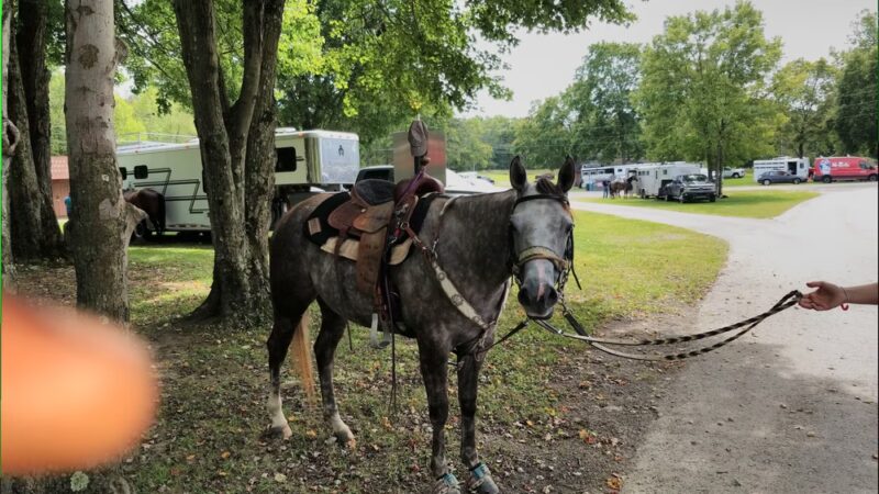 U.s. Army Corps Of Engineers Crooked Creek Lake - Ford City, PA