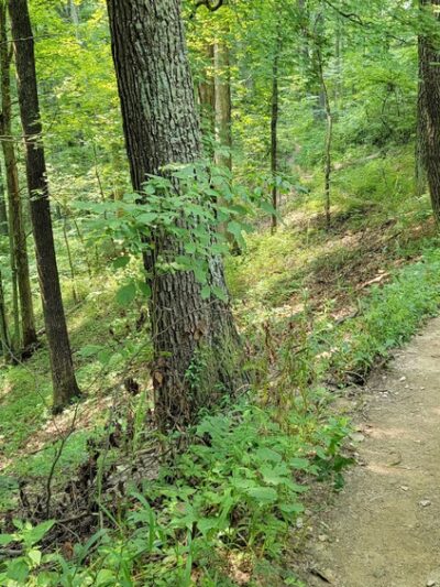 You Can Trail - Ford City, PA