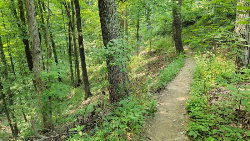 You Can Trail - Ford City, PA