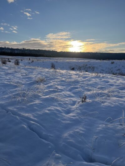 Muley Canyon Day Use Area - Ford, WA