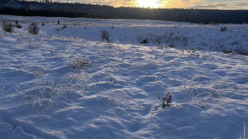 Muley Canyon Day Use Area - Ford, WA