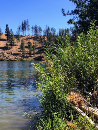 Muley Canyon Day Use Area - Ford, WA