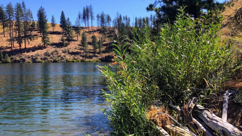 Muley Canyon Day Use Area - Ford, WA