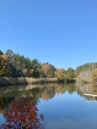 Eno's Pond County Park - Forked River, NJ